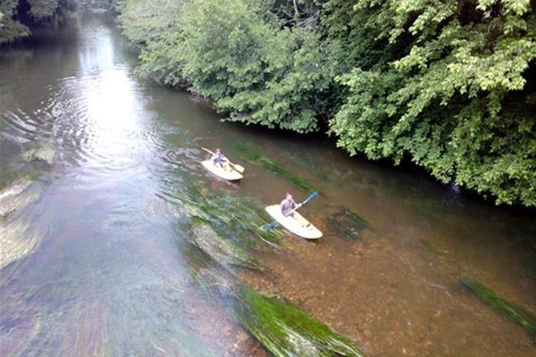 Le Bois de Coderc