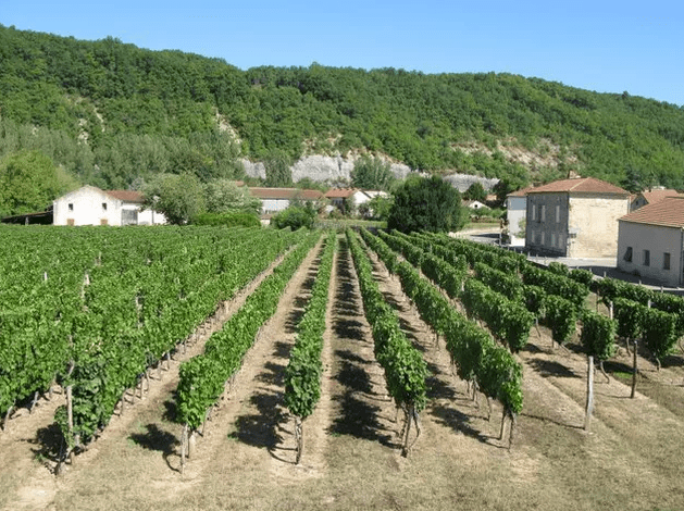 Image of Chateau les Ifs